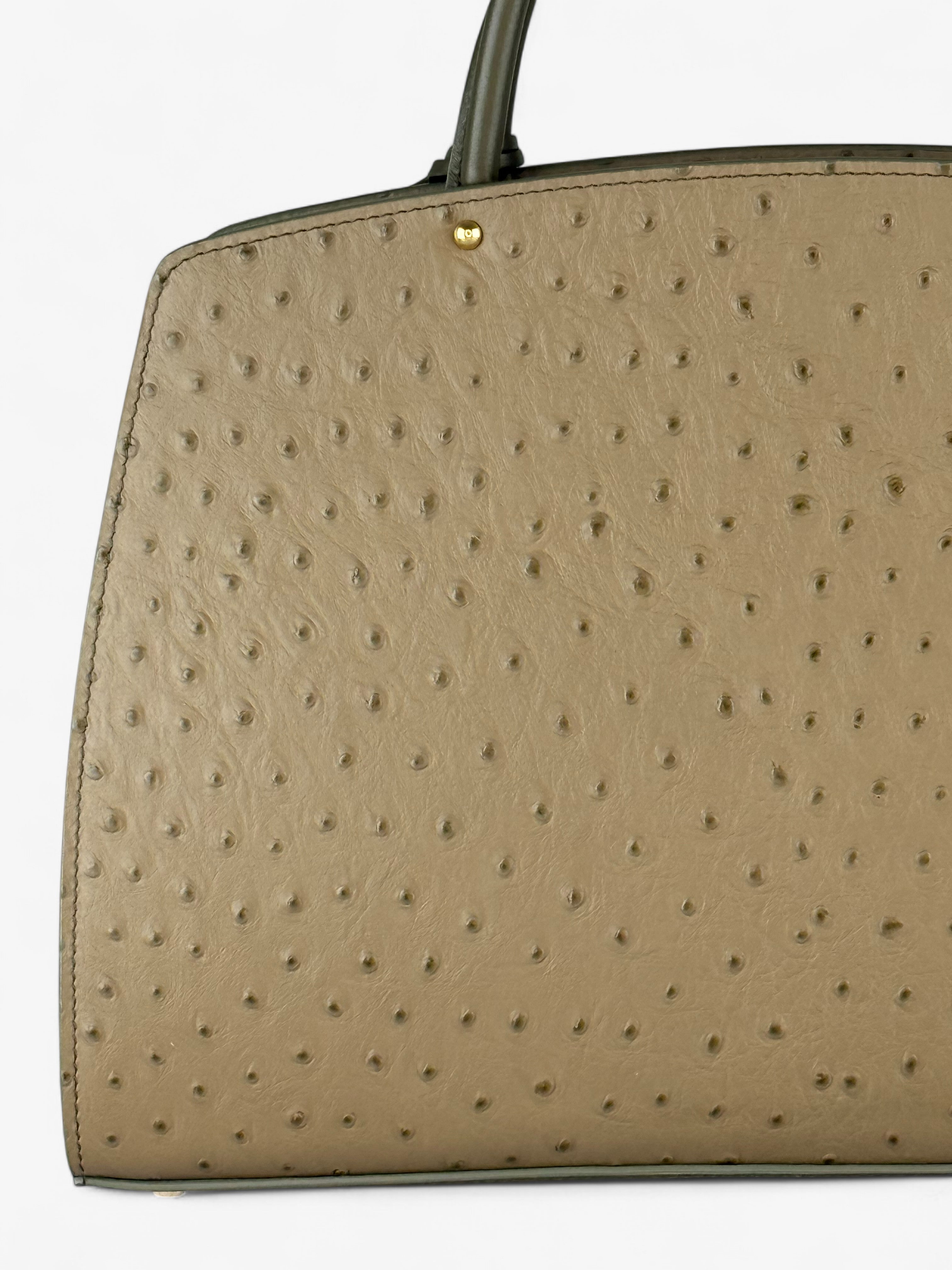 Ami M Ostrich Olive Bag