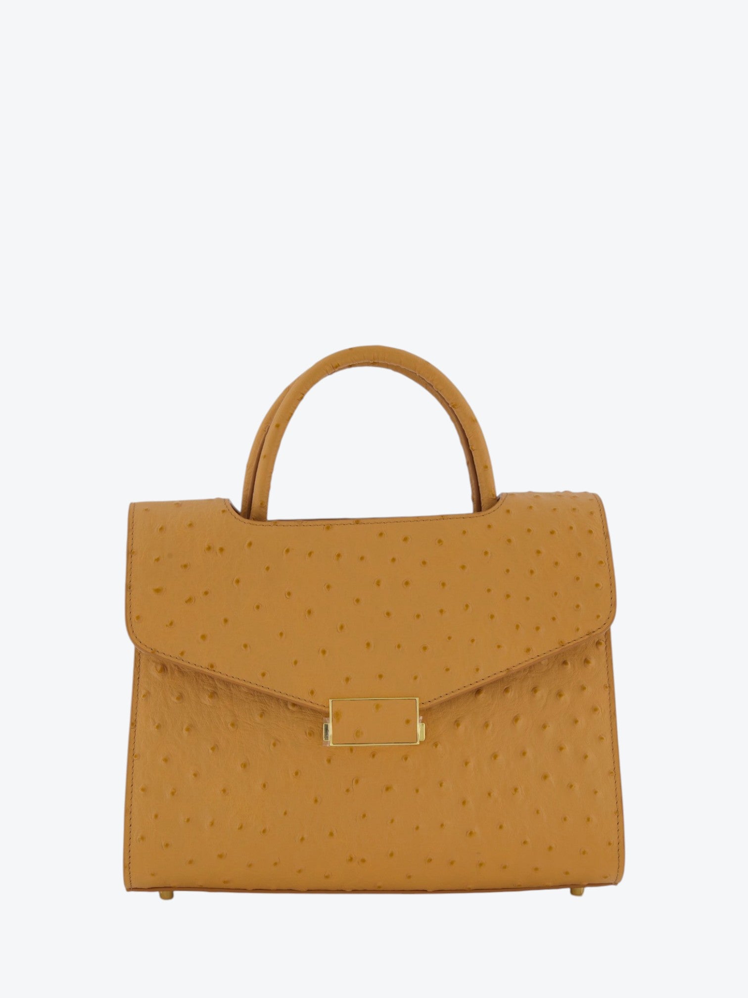 Chanté 25 Ostrich Camel