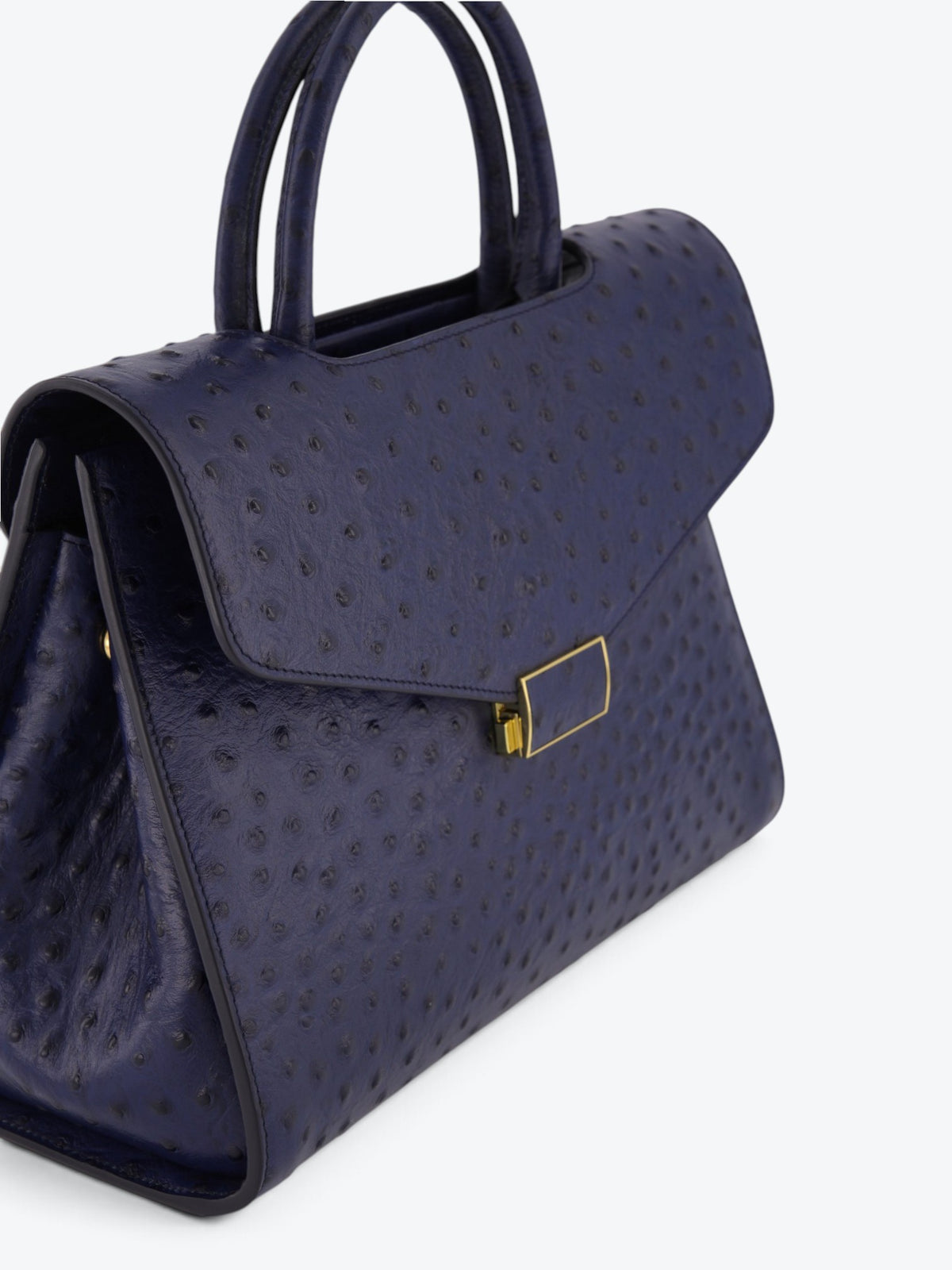 Chanté 29 Ostrich Bleumarin Bag