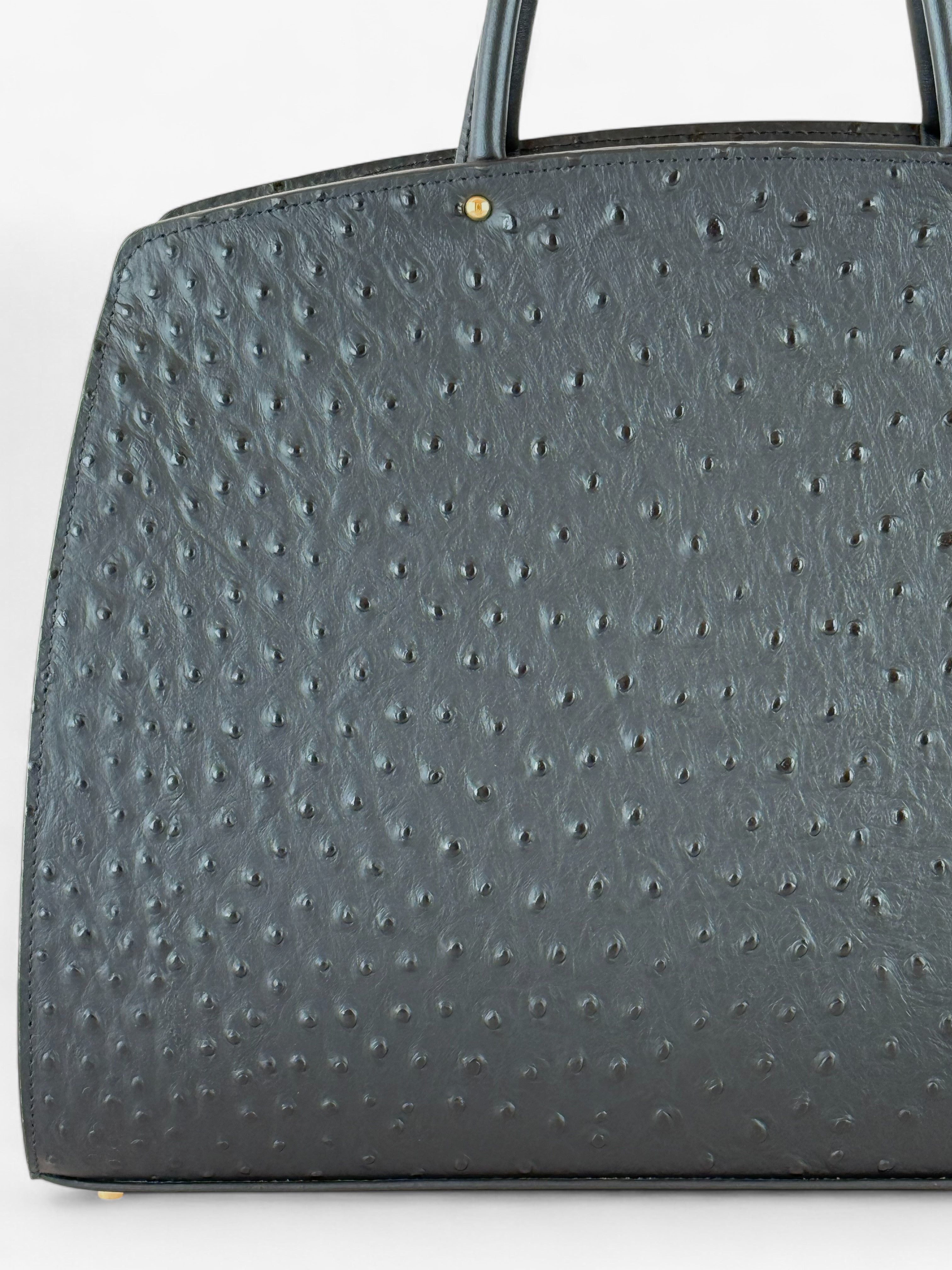 Ami L Ostrich Black Bag