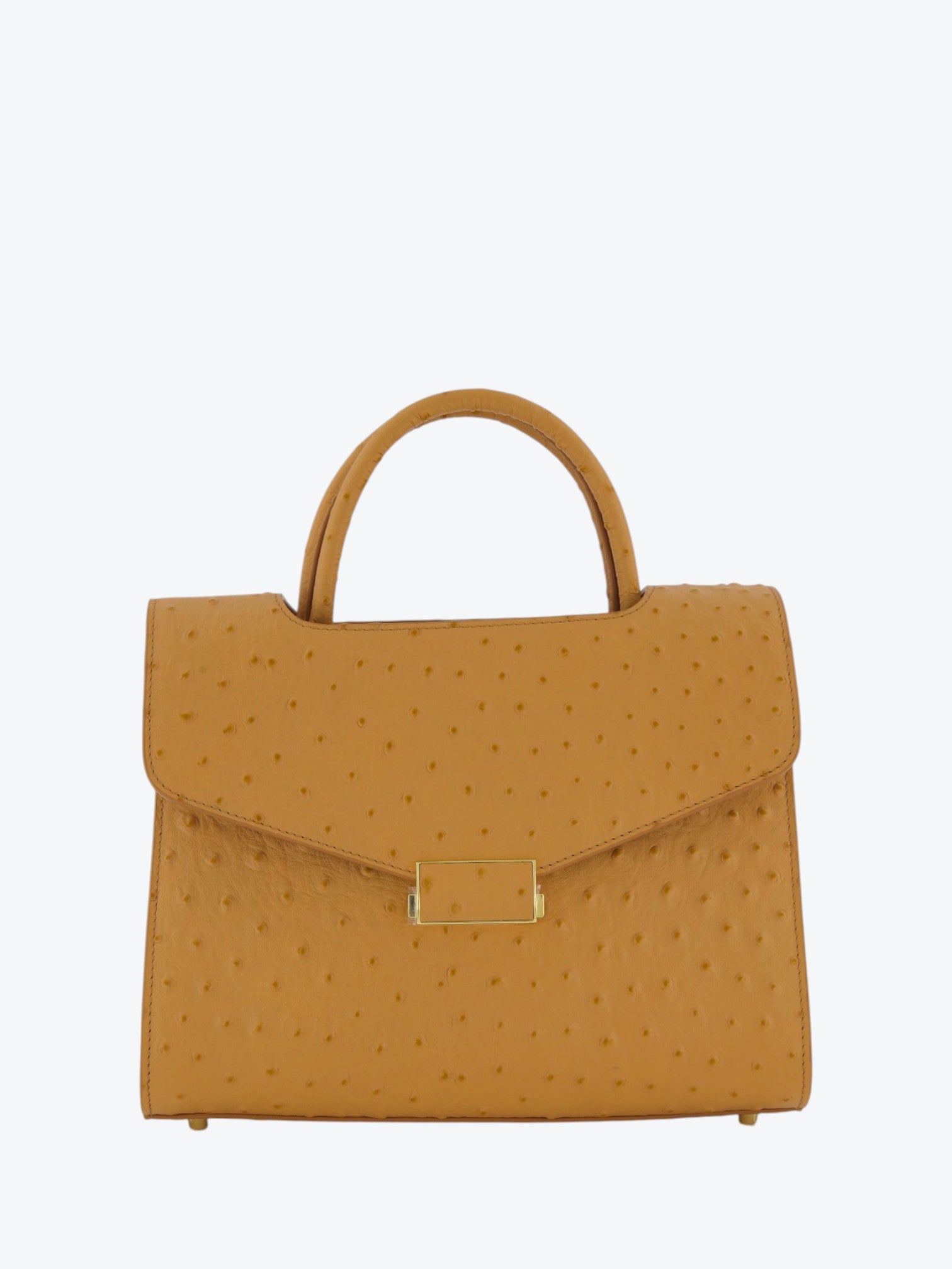 Chanté 25 Ostrich Camel