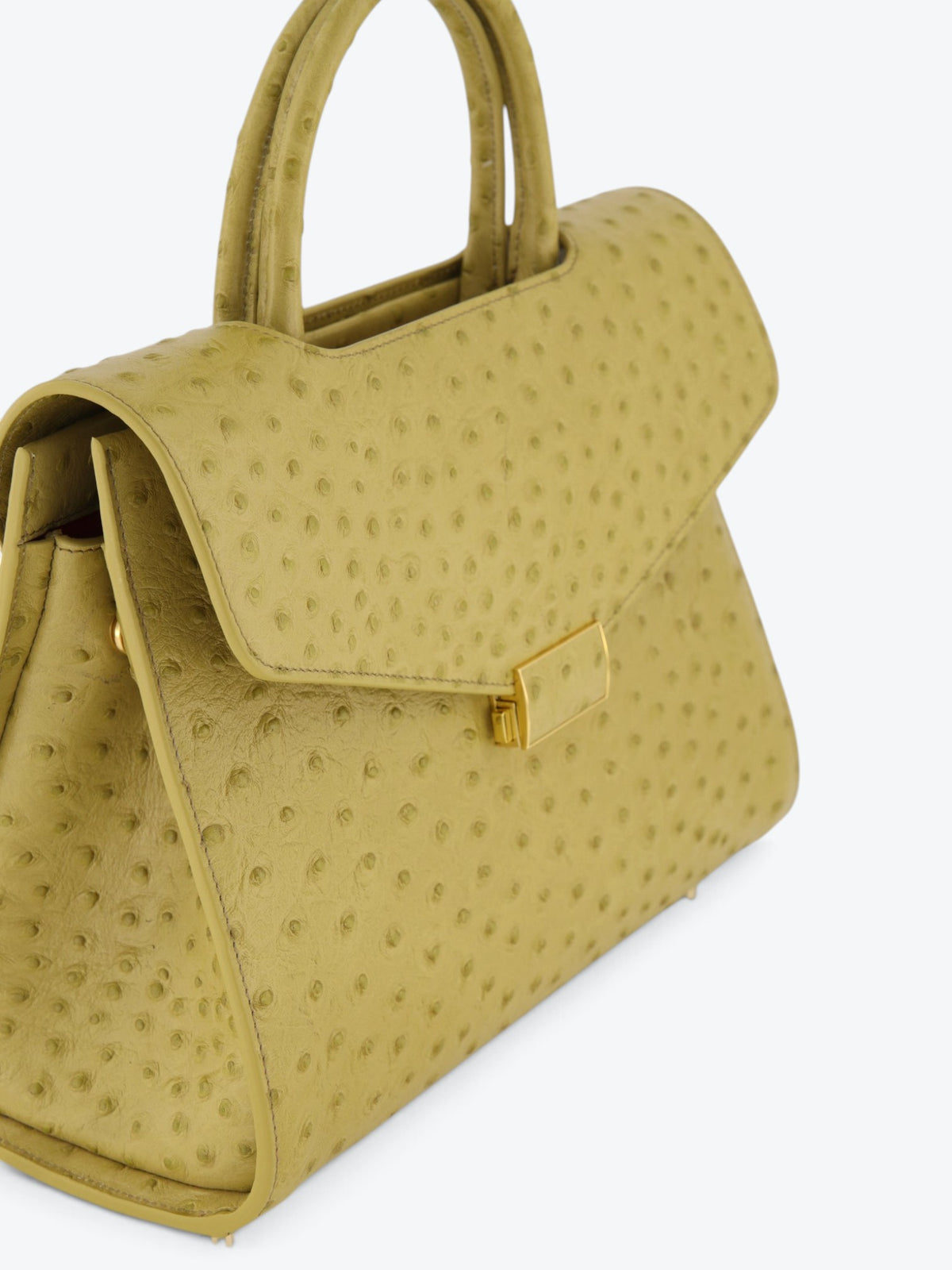 Borsa Chanté 29 Ostrich Deserto